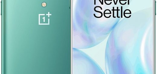 OnePlus 8 manual released